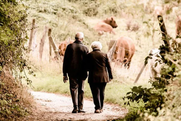 Webinar De Nieuwe Pensioenwet