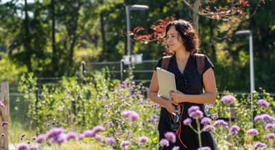 latifa werklandschap