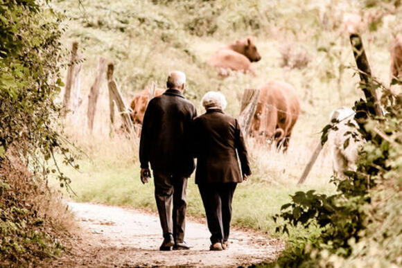 Webinar De Nieuwe Pensioenwet